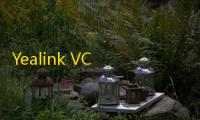 Yealink VC Desktop(亿联视频会议软件) 1.28.0.30 官方版